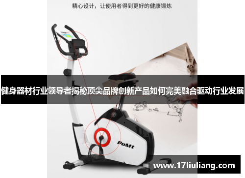 健身器材行业领导者揭秘顶尖品牌创新产品如何完美融合驱动行业发展