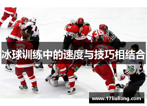 冰球训练中的速度与技巧相结合