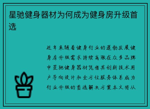 星驰健身器材为何成为健身房升级首选