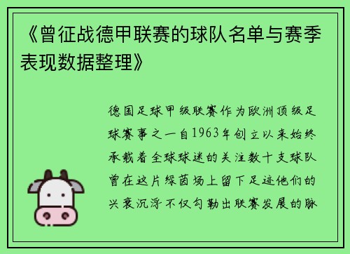 《曾征战德甲联赛的球队名单与赛季表现数据整理》