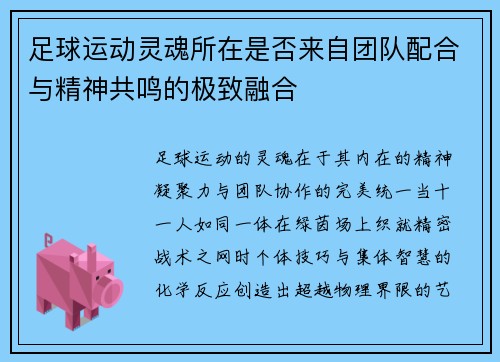 足球运动灵魂所在是否来自团队配合与精神共鸣的极致融合